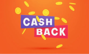 BIDZ cash back