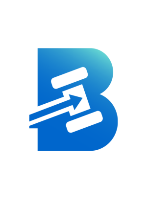BIDZ E-STORE Zerka